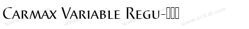 Carmax Variable Regu字体转换